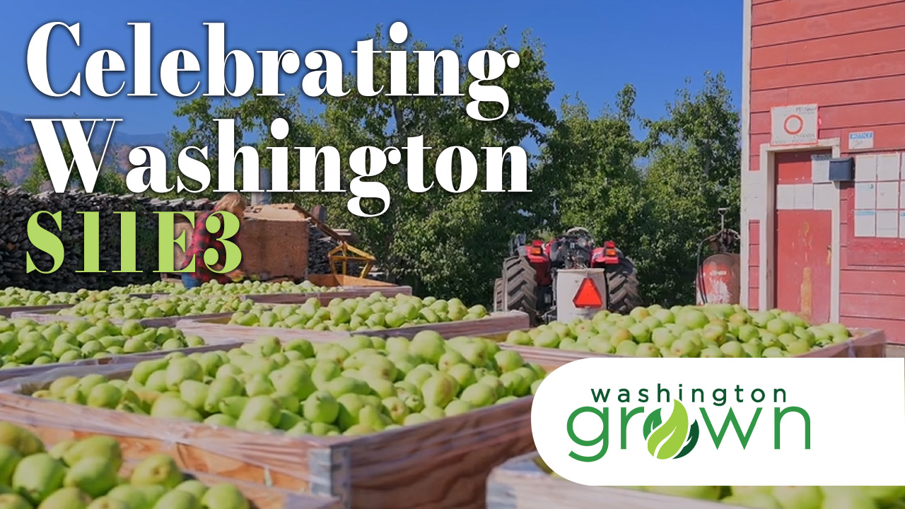 Celebrating Washington