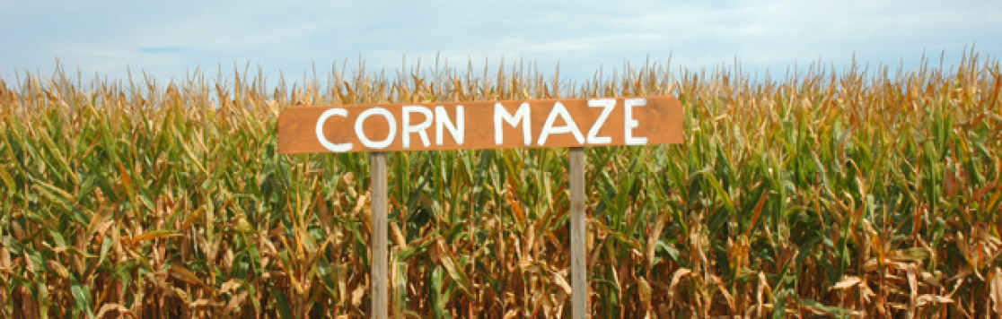 Five Corn Mazes to Visit Near Spokane
